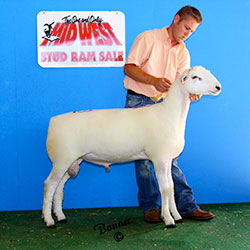 Jacobsen Ranch