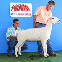Jacobsen Ranch