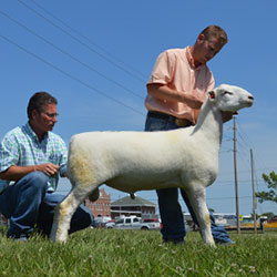 Jacobsen Ranch