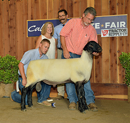 Jacobsen Winners