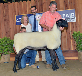 Jacobsen Winners