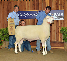 Jacobsen Winners