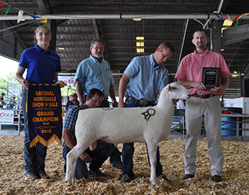 Jacobsen Winners