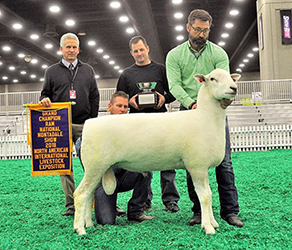 Jacobsen Ranch Winners