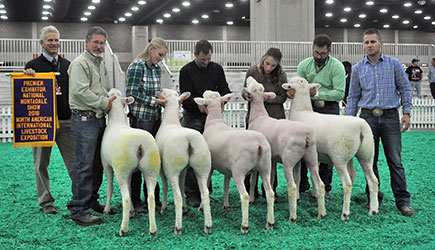 Jacobsen Ranch Winners