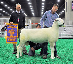 Jacobsen Ranch Winners