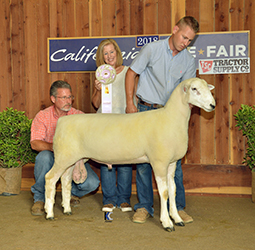 Jacobsen Winners