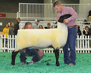 Jacobsen Ranch Winners