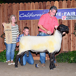 Jacobsen Ranch Winners