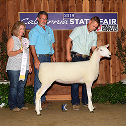 Jacobsen Ranch Winners