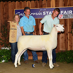 Jacobsen Ranch Winners