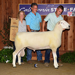 Jacobsen Ranch Winners