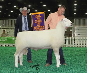 Jacobsen Ranch Winners