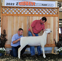 Jacobsen Ranch Winners