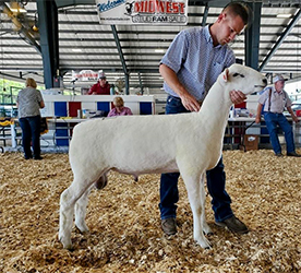 Jacobsen Ranch Winners