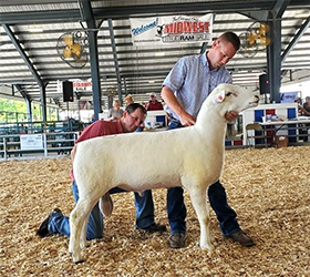 Jacobsen Ranch Winners