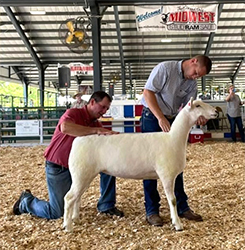 Jacobsen Ranch Winners