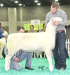 Jacobsen Ranch Winners