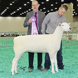 Jacobsen Ranch Winners