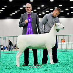 Jacobsen Ranch Winners