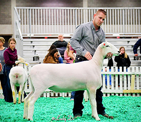Jacobsen Ranch Winners