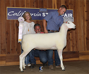 Reserve Ewe California State Fair