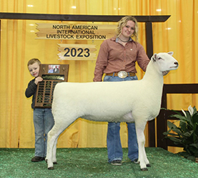 Reserve Sr. Champion Ewe 2023 NAILE
