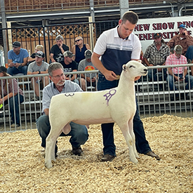 2023 National Sale Champion Ram