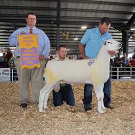 Reserve Ram 2023 National Sale