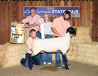 Reserve Champion Suffolk Ewe
2024 California State Fair