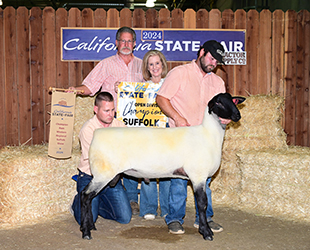 Grand Champion Suffolk Ram
2024 California State Fair