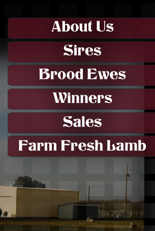 Jacobsen Ranch